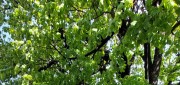 UTW Kutno 20240419_111409.jpg